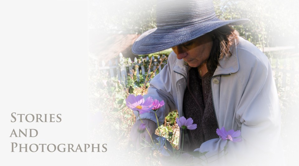 Stories and photographs 